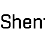 ShentoxW04-Medium