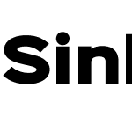 Sinkin Sans 900 X Black