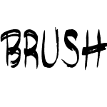 brushshop regular