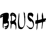 brushshop regular