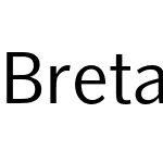 Bretan Pro