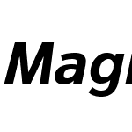 Magnum Sans   15