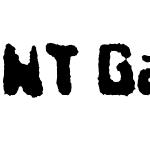 NT Gagarin Igor