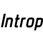 Intropol