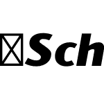 Schar-BlackItalic