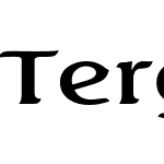 Tergo Semi Expanded