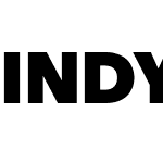 INDY Sans Heavy