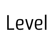 LevelOne