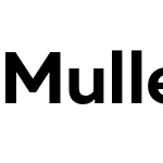 Muller 6