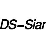 DS-SiamSquare