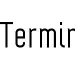 Terminal One