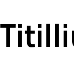 TitilliumMaps26L