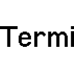 Terminal Grotesque