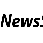 NewsSans