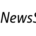 NewsSans