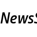 NewsSans