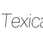 TexicaliW05-ThinItalic