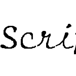 Script