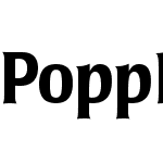 Poppl-Laudatio