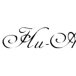 Hu-AdineKirnberg-Script