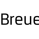 Breuer Text