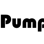 Pump