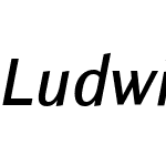 Ludwig Pro SmCon