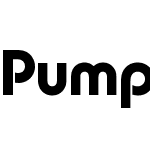 Pump