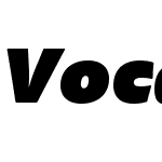 VocalW05-HeavyItalic