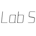 LabSansW05-ThinItalic