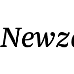 Newzald Test