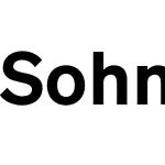 Söhne Mono Test