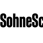 Söhne Schmal Test