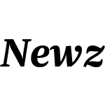 Newzald Test