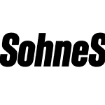 Söhne Schmal Test