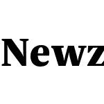 Newzald Test