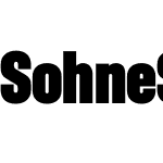 Söhne Schmal Test