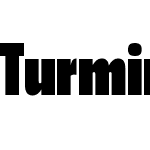 Turmino-Black