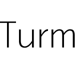 Turmino-Light