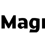 MagneticW05-Black