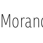 MorandiW04-CondensedThin