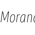 MorandiW05-CondensedThinIt