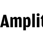 AmplitudeCond Bold