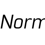 NormativeW05-Italic