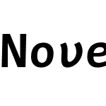NovelMonoW00-BoldItalic