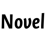 NovelSansCondW05-BoldItalic