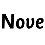 NovelSansOfficeW05-BoldIt