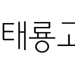 태룡고딕210