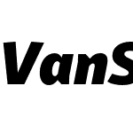 VanSans-BlackItalic