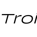 Trois Mille Light Italic